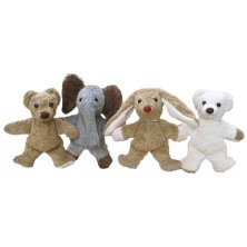 KALLISTO NALLE LITEN