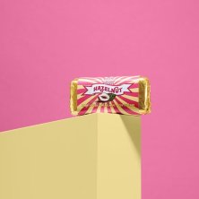 Vegan Delights Hazelnut Bar