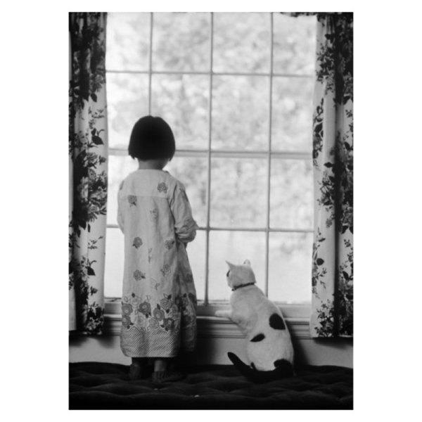 KORT MED KUVERT FLICKA OCH KATT I FÖNSTRET