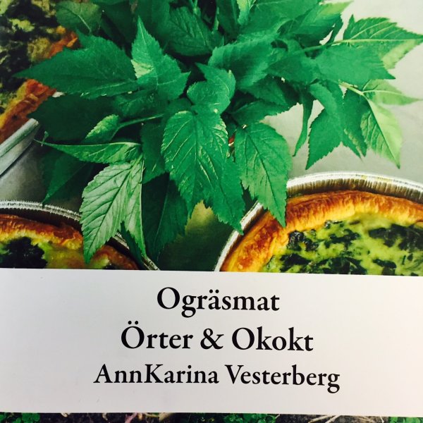 Ogräsmat - Örter & Okokt